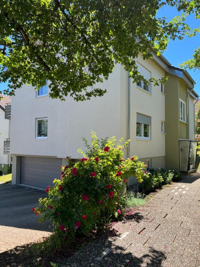 Schwarzwald Appartement Steffanie Freudenstadt Kültér fotó